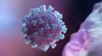 В Украине за сутки выявили 829 новых случаев инфицирования коронавирусом | Алиби