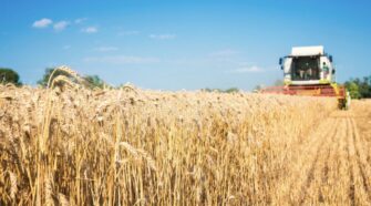Збір урожаю — українські аграрії у першому кварталі жовтня зібрали всю пшеницю